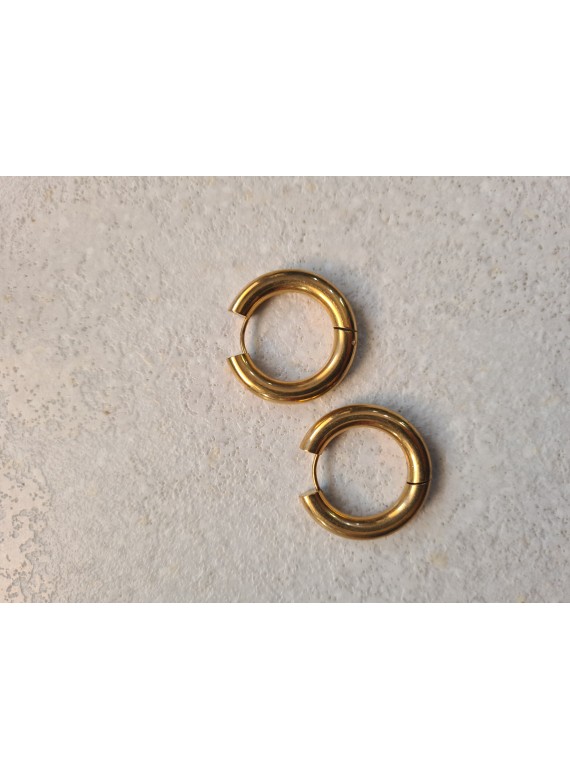 Ατσάλινα σκουλαρίκια  33-234 gold 
