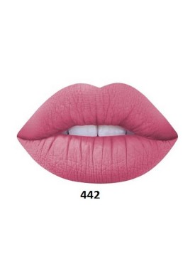 Elixir Liquid Lip Mat Pro No 442